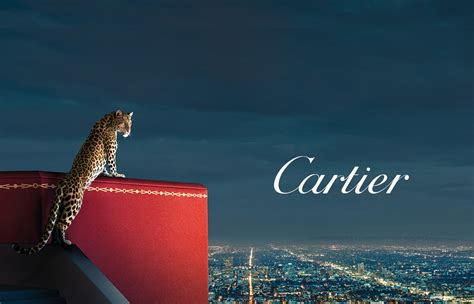 cartier campaign|cartier brand identity.